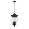 Z-Lite Davina 4 Light Outdoor Chain Mount Ceiling Fixture, 12in. W x 23.75in. H, Black 5016CHB-BK - alternate 1